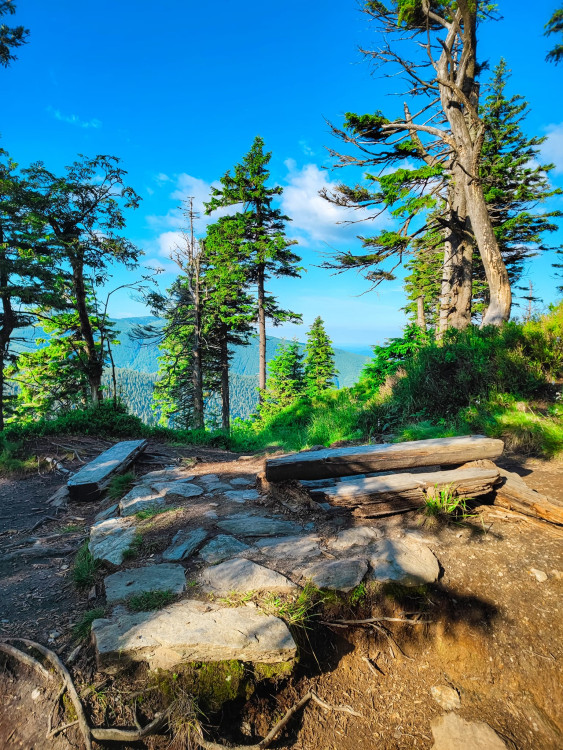 FOTOGALERIE: Jedinečné výhledy na úžasnou přírodu Jeseníků a dolní nádrž Dlouhé stráně