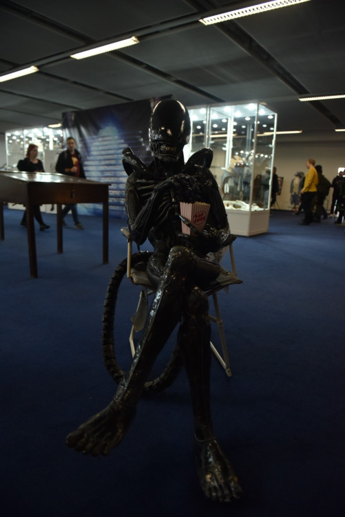 FOTO: Comic-Con Junior přilákal tisíce fanoušků, podívejte se na jejich nejlepší kostýmy