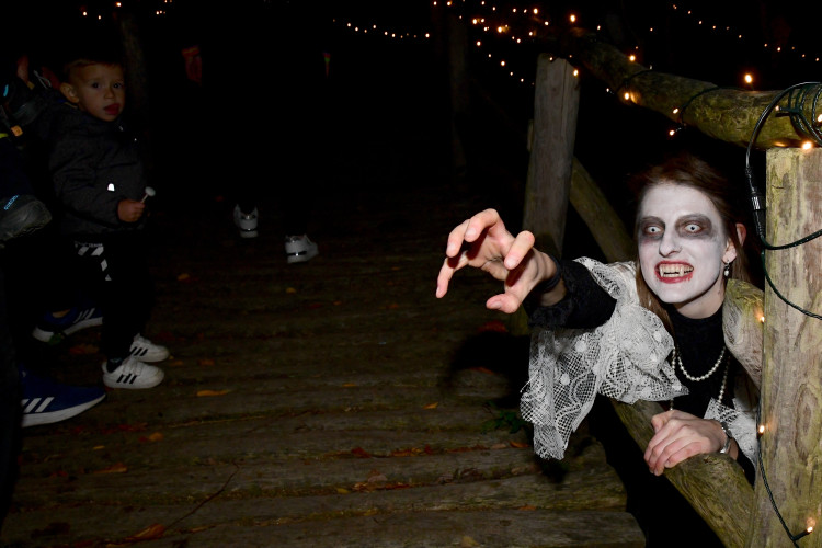 FOTOGALERIE: Večeru duchů a Zoo světel na Svatém Kopečku