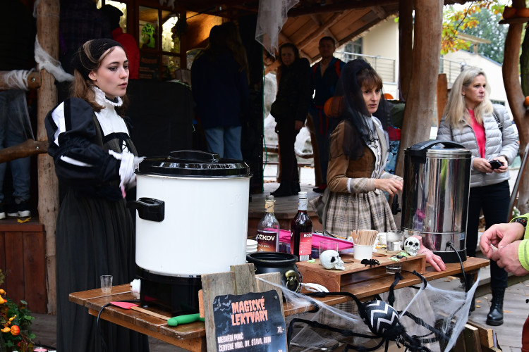 FOTOGALERIE: Večeru duchů a Zoo světel na Svatém Kopečku