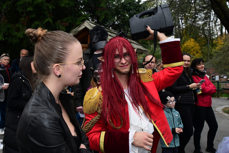 FOTOGALERIE: Večeru duchů a Zoo světel na Svatém Kopečku