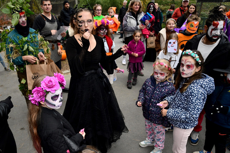 FOTOGALERIE: Večeru duchů a Zoo světel na Svatém Kopečku