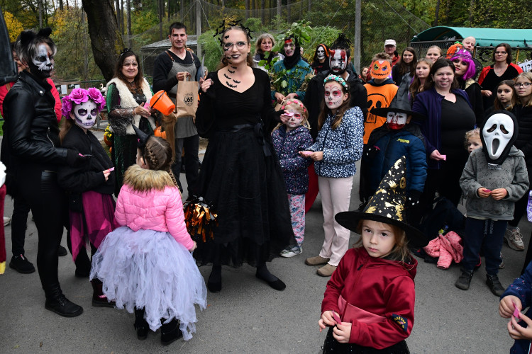FOTOGALERIE: Večeru duchů a Zoo světel na Svatém Kopečku