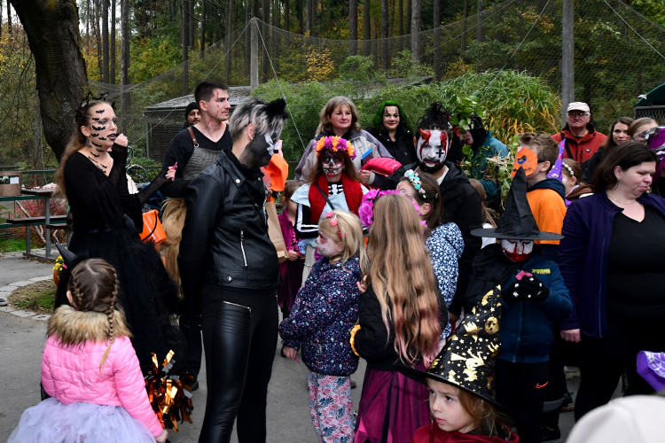 FOTOGALERIE: Večeru duchů a Zoo světel na Svatém Kopečku