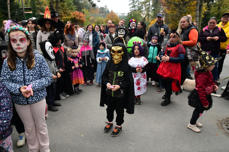 FOTOGALERIE: Večeru duchů a Zoo světel na Svatém Kopečku
