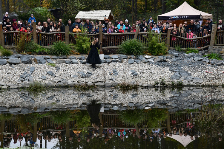 FOTOGALERIE: Večeru duchů a Zoo světel na Svatém Kopečku