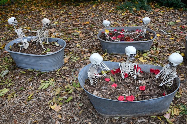 FOTOGALERIE: Večeru duchů a Zoo světel na Svatém Kopečku