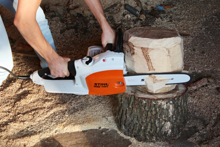 FOTOGALERIE: (NE)OBYČEJNÍ