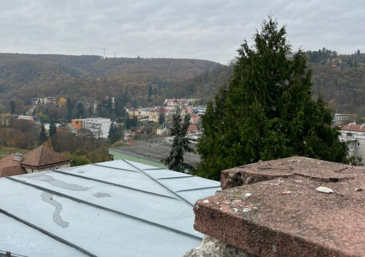 FOTOGALERIE: : Vila brněnské rodiny Wittalových se dočká rekonstrukce. Vznikne tam židovské centrum a kavárna