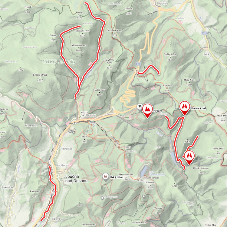 Během tří dnů ekologové zmapovali oblasti zasažené povodněmi v Jeseníkách.
