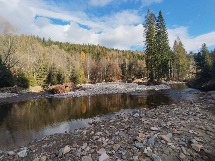 Příroda v Jeseníkách mimo území obcí při povodních vrátila řeky do své přirozené podoby a krásy. To je jediný pozitivní výsledek povodní.