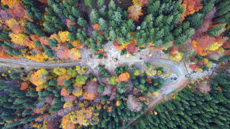 Tři sesuvy v Hladovém dole zasypaly Hladovou cestu. Vznikly kvůli narušení svahu při stavbě nezajištěné cesty a utržení smrků. Listnaté stromy s hlubšími kořeny rozsah zmírnily.