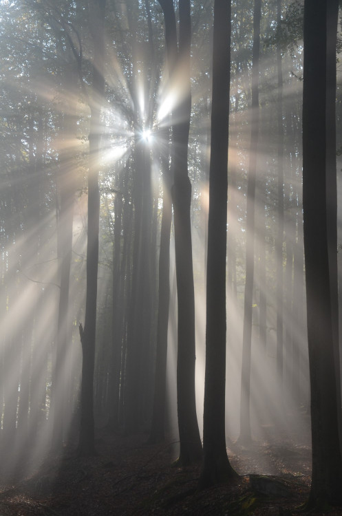 4. Václav Hruška - Podzim pod Čerchovem