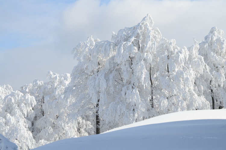 9. Václav Hruška - Námraza na Čerchově
