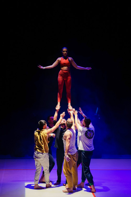 FOTOGALERIE: Akrobatická čísla i příběh. Podívejte se, jak vypadá moderní cirkus