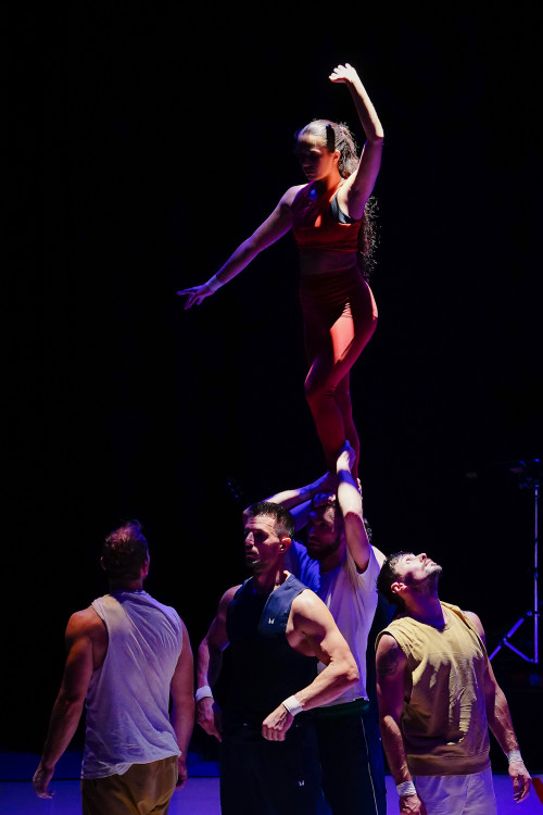 FOTOGALERIE: Akrobatická čísla i příběh. Podívejte se, jak vypadá moderní cirkus