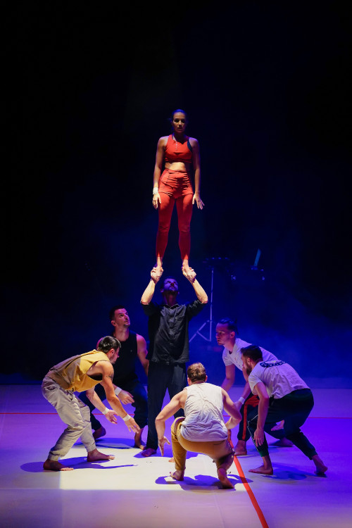 FOTOGALERIE: Akrobatická čísla i příběh. Podívejte se, jak vypadá moderní cirkus