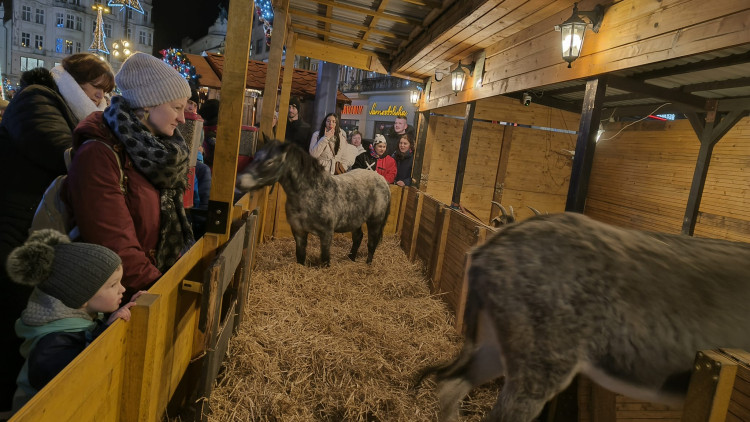 FOTOGALERIE: Adventní trhy ba náměstí Republiky 2024