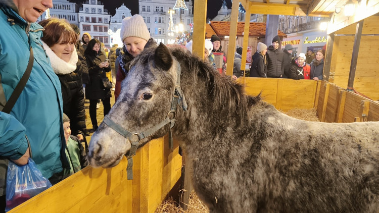 FOTOGALERIE: Adventní trhy ba náměstí Republiky 2024