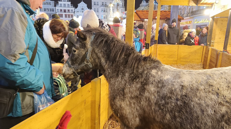 FOTOGALERIE: Adventní trhy ba náměstí Republiky 2024