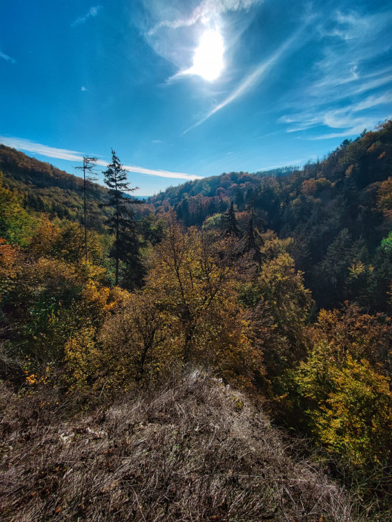 FOTOGALERIE: V okolí Javoříčských jeskyní je řada zajímavostí