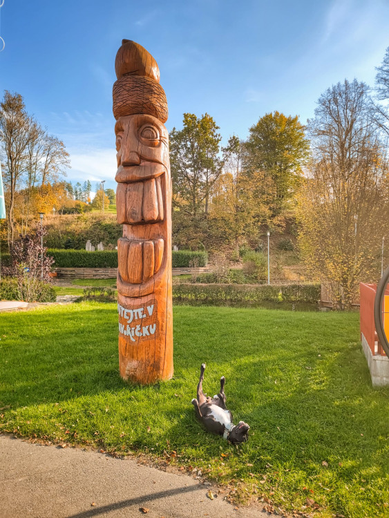 FOTOGALERIE: V okolí Javoříčských jeskyní je řada zajímavostí