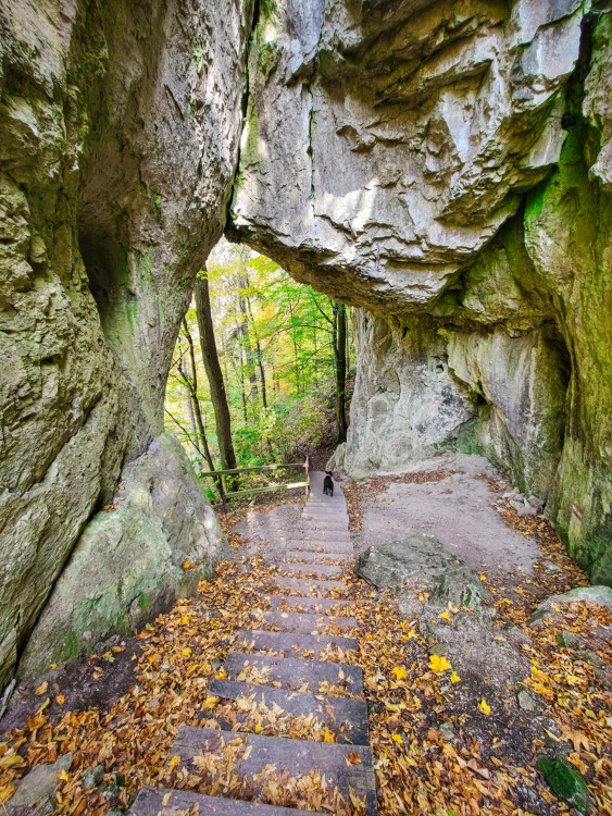 FOTOGALERIE: V okolí Javoříčských jeskyní je řada zajímavostí