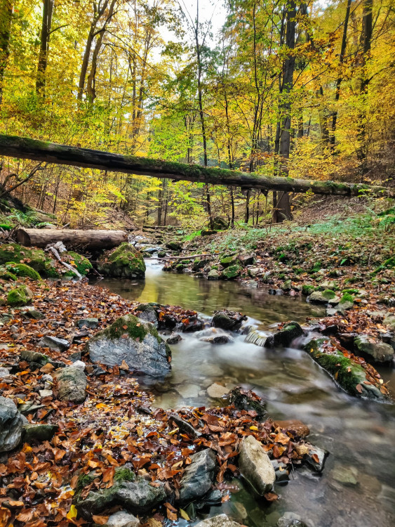 FOTOGALERIE: V okolí Javoříčských jeskyní je řada zajímavostí