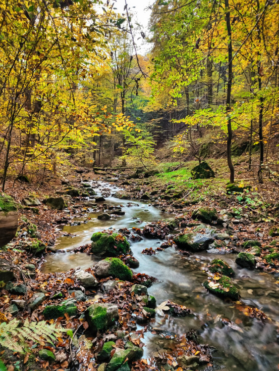 FOTOGALERIE: V okolí Javoříčských jeskyní je řada zajímavostí