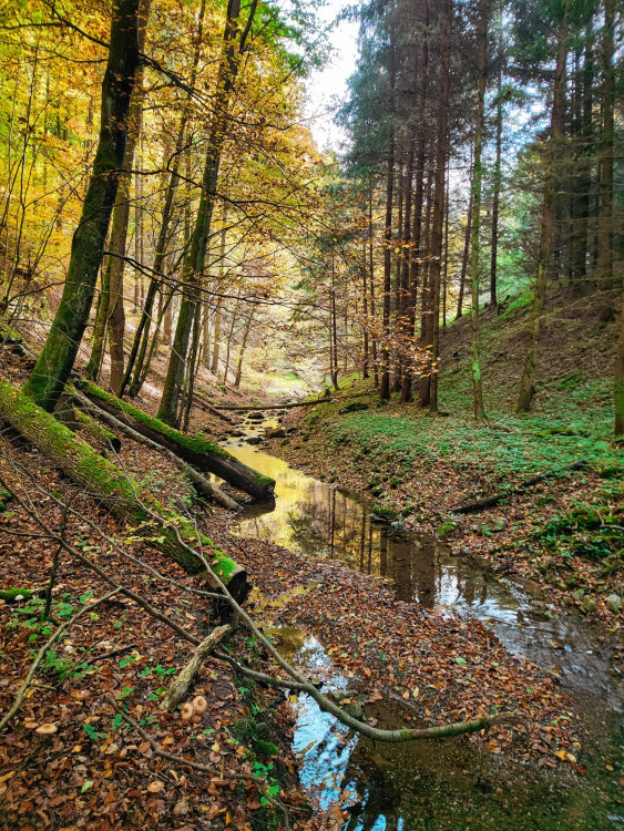 FOTOGALERIE: V okolí Javoříčských jeskyní je řada zajímavostí