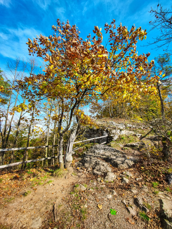 FOTOGALERIE: V okolí Javoříčských jeskyní je řada zajímavostí