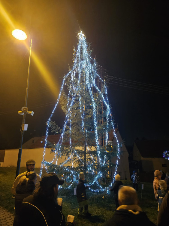 Plzeň 7 - Radčice, foto: MO 7