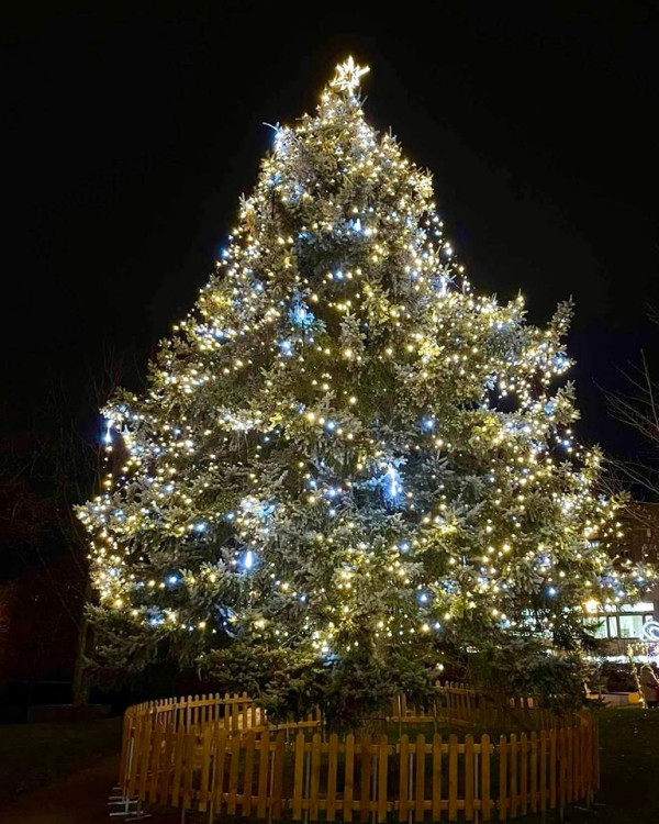 Plzeň 1 - Lochotín, foto: MO 1