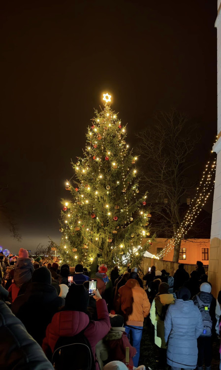 Plzeň 6 - Litice, foto MO 6
