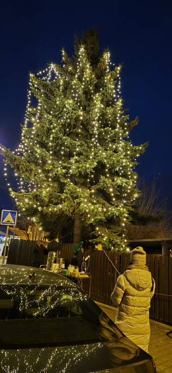 Plzen 8 - Černice, foto: MO 8