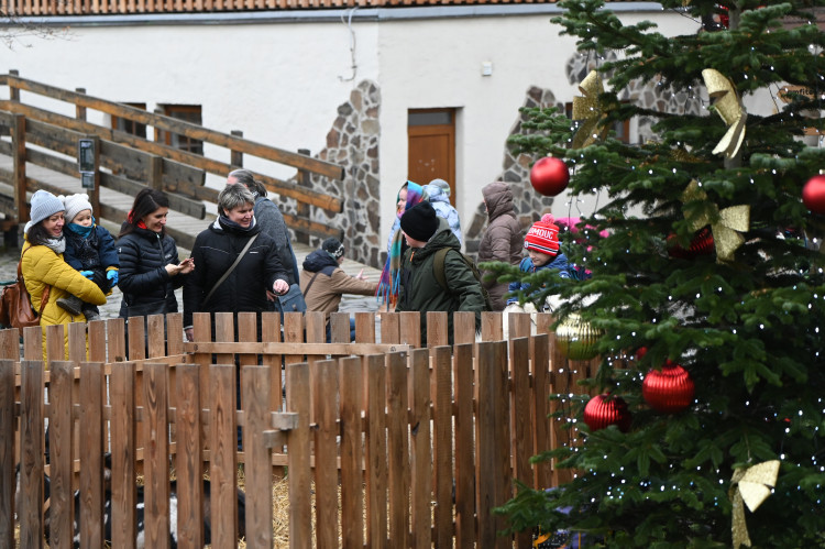 FOTOGALERIE: Vánoce v Ostravě baví. Lidé navštěvují hrad i světelná městečka