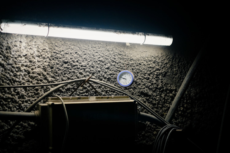 FOTOGALERIE: Stavba metra D je v plném proudu. Podívejte se, jak to vypadá v budoucí stanici Pankrác