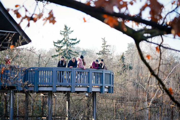 FOTOGALERIE: Opožděná nadílka v pražské zoo. Sloni, žirafy i zlatá prasátka dostali neprodané stromky