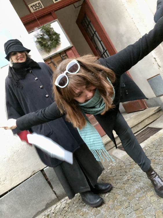 Pochod švihlou chůzí v Jihlavě