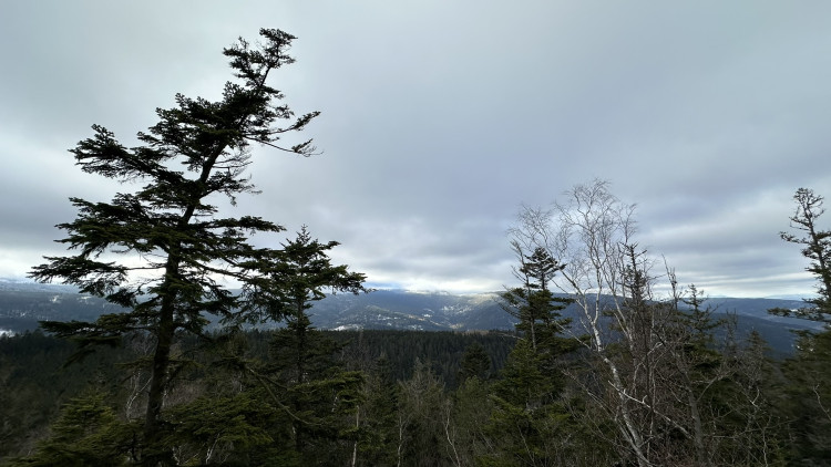 FOTOGALERIE: Vyhlídka zamilovaných nad obcí Hojsova Stráž