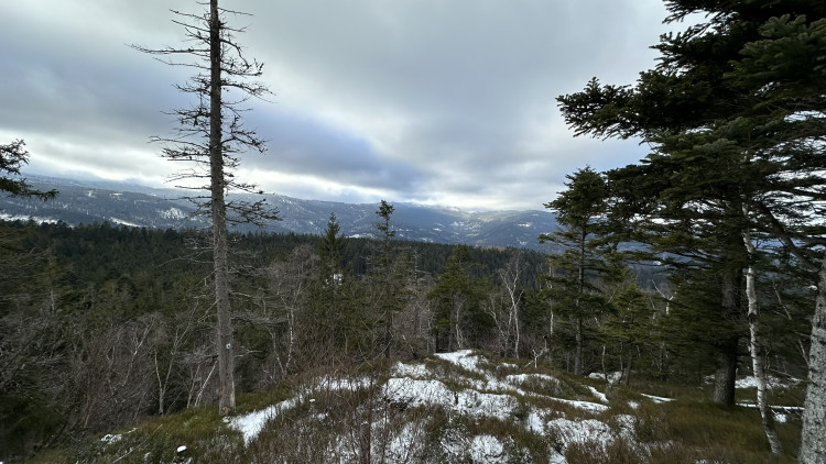 FOTOGALERIE: Vyhlídka zamilovaných nad obcí Hojsova Stráž