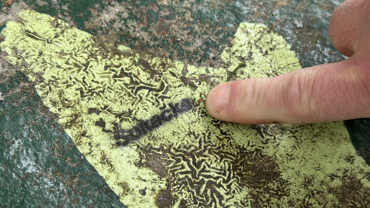 FOTOGALERIE: Vyhlídka zamilovaných nad obcí Hojsova Stráž