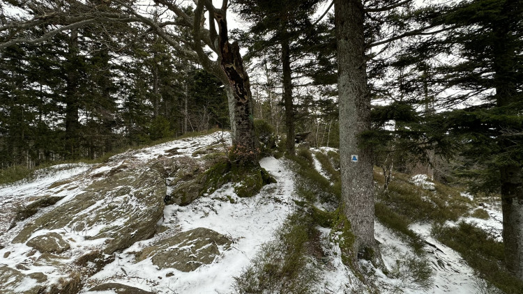 FOTOGALERIE: Vyhlídka zamilovaných nad obcí Hojsova Stráž