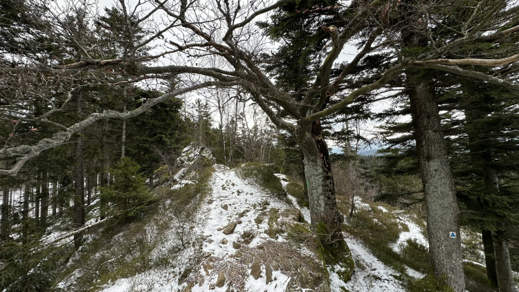 FOTOGALERIE: Vyhlídka zamilovaných nad obcí Hojsova Stráž