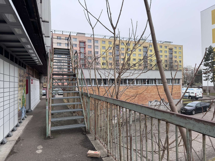 GALERIE: Hvězda v Hradci Králové (2025)