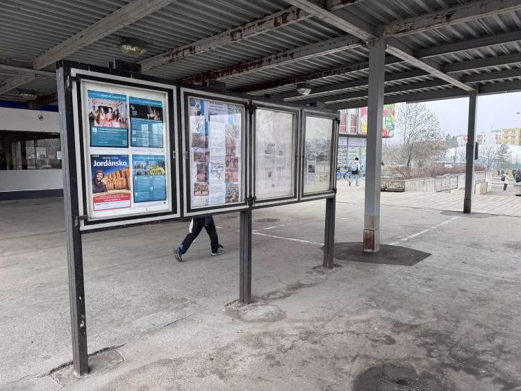 GALERIE: Hvězda v Hradci Králové (2025)