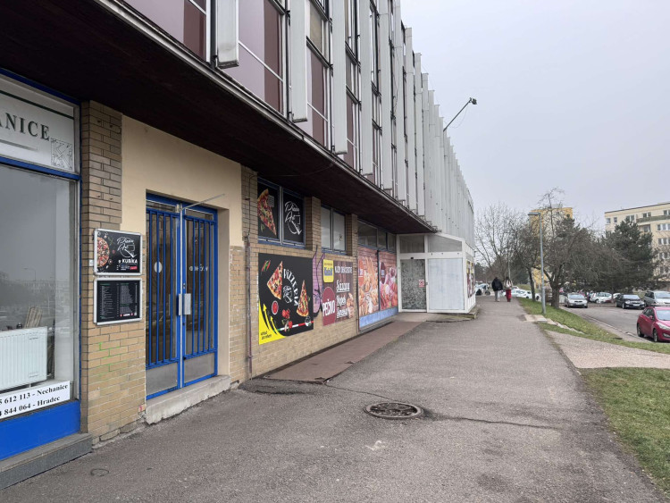 GALERIE: Hvězda v Hradci Králové (2025)