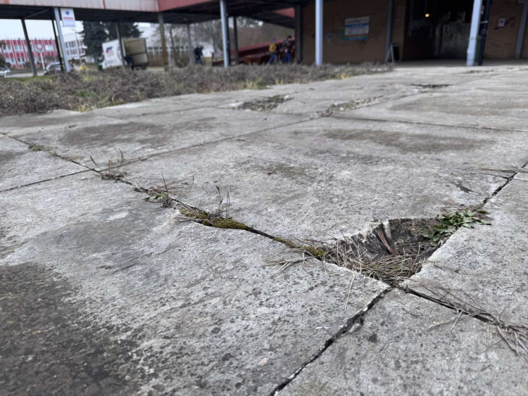 GALERIE: Hvězda v Hradci Králové (2025)