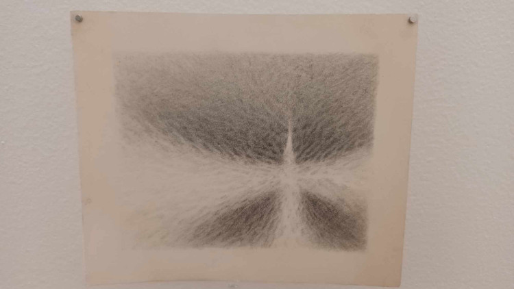 FOTOGALERIE: Pozoruhodná výstava prostějovských středoškoláků