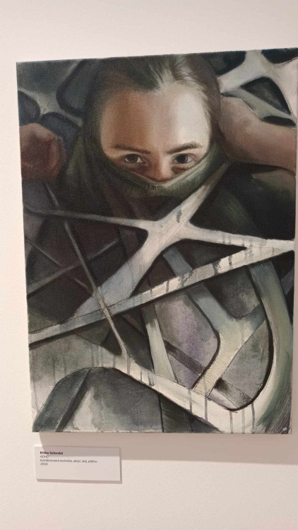 FOTOGALERIE: Pozoruhodná výstava prostějovských středoškoláků